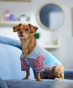 Frisco Striped Polo Dog & Cat Shirt 15 Frisco Striped Polo Dog & Cat Shirt -The Frisco Store 312208 PT8. SY630 V1644882482