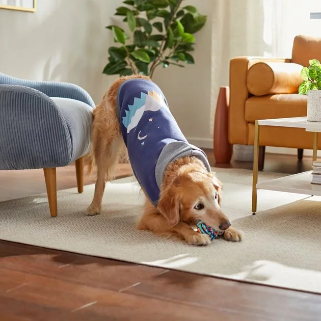 Frisco Starry Night Dog & Cat Hoodie 9 Frisco Starry Night Dog & Cat Hoodie - Image 7