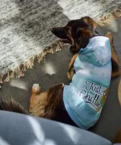 Frisco Just Chillin Dog & Cat Hoodie 15 Frisco Just Chillin Dog & Cat Hoodie -The Frisco Store 312232 PT8. SY630 V1644881824