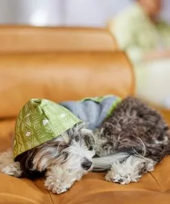 Frisco Green Southwest Dog & Cat Hoodie 15 Frisco Green Southwest Dog & Cat Hoodie -The Frisco Store 312248 PT8. SY630 V1644883113