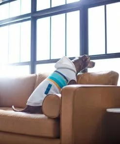 Frisco Striped Grey Dog & Cat Hoodie 15 Frisco Striped Grey Dog & Cat Hoodie -The Frisco Store 312264 PT8. SY630 V1644880135