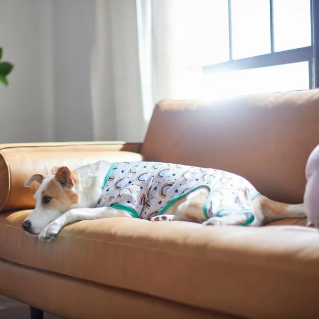 Frisco Rainbow Dog & Cat PJs 8 Frisco Rainbow Dog & Cat PJs - Image 6