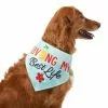 Frisco Living My Best Life Dog & Cat Bandana 1 Frisco Living My Best Life Dog & Cat Bandana -The Frisco Store 312288 MAIN. SY630 V1644881351