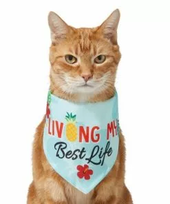 Frisco Living My Best Life Dog & Cat Bandana -The Frisco Store 312288 PT2. SY630 V1644884916
