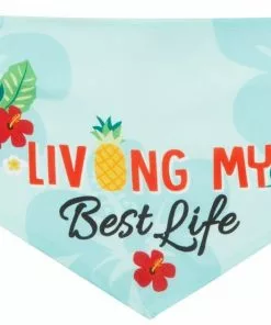 Frisco Living My Best Life Dog & Cat Bandana -The Frisco Store 312288 PT4. SY630 V1644882738