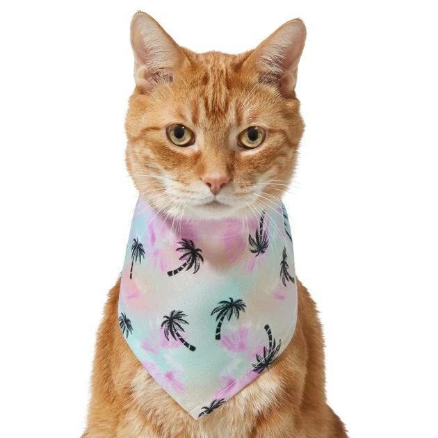 Frisco Palm Tree Dog & Cat Bandana 5 Frisco Palm Tree Dog & Cat Bandana - Image 3