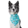Frisco Spring Floral Dog & Cat Bandana -The Frisco Store 312294 MAIN. SY630 V1644879397