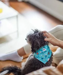 Frisco Spring Floral Dog & Cat Bandana -The Frisco Store 312294 PT8. SY630 V1644881583