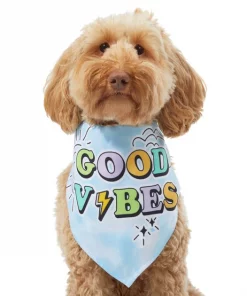 Frisco Good Vibes Dog & Cat Bandana