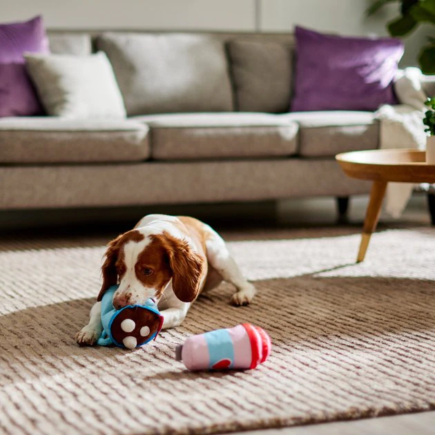 Frisco Coffee for Two Ballistic Nylon Plush Squeaky Dog Toy, 2 count 5 Frisco Coffee for Two Ballistic Nylon Plush Squeaky Dog Toy, 2 count - Image 3