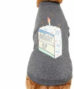 Frisco Birthday Pup Dog & Cat T-Shirt -The Frisco Store 315075 PT2. SY630 V1646438857