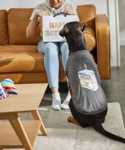 Frisco Birthday Pup Dog & Cat T-Shirt -The Frisco Store 315075 PT8. SY630 V1646442759