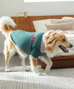 Frisco Green Rugby Dog & Cat Polo Shirt 19 Frisco Green Rugby Dog & Cat Polo Shirt -The Frisco Store 315083 PT8. SY630 V1646437999