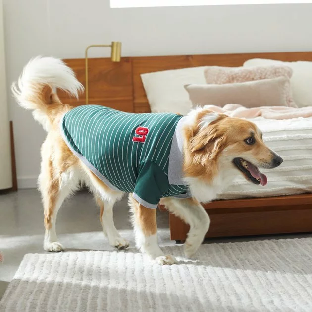 Frisco Green Rugby Dog & Cat Polo Shirt 11 Frisco Green Rugby Dog & Cat Polo Shirt - Image 9