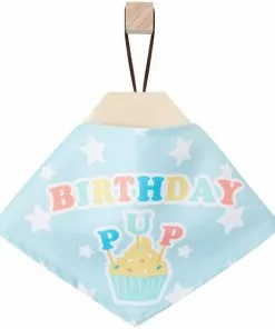 Frisco Birthday Pup Dog & Cat Bandana -The Frisco Store 315130 PT4. SY630 V1646441905