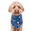 Frisco Celebration Dog & Cat Bandana -The Frisco Store 315133 MAIN. SY630 V1646438946