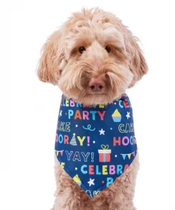 Frisco Celebration Dog & Cat Bandana