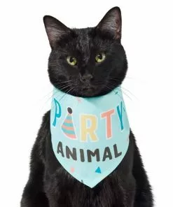 Frisco Party Animal Dog & Cat Bandana -The Frisco Store 315136 PT2. SY630 V1646438016