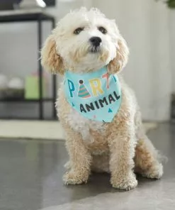 Frisco Party Animal Dog & Cat Bandana -The Frisco Store 315136 PT8. SY630 V1646433185