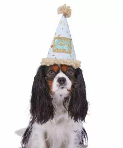 Frisco It's a Party Animal Dog & Cat Hat -The Frisco Store 315139 PT2. SY630 V1646439434