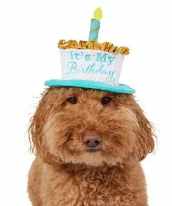 Frisco It's My Birthday Dog & Cat Hat -The Frisco Store 315142 PT2. SY630 V1646436466
