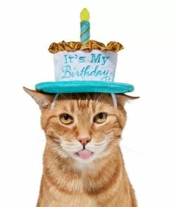 Frisco It's My Birthday Dog & Cat Hat -The Frisco Store 315142 PT3. SY630 V1646437287