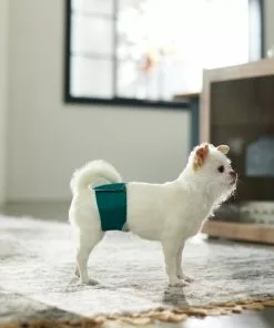 Frisco Washable Male Wrap, Whales, 3pk -The Frisco Store 315706 PT3. SY630 V1644882254