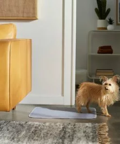 Frisco Washable Dog Potty Pads, 2pk, Unscented 9 Frisco Washable Dog Potty Pads, 2pk, Unscented -The Frisco Store 315712 PT3. SY630 V1644880410