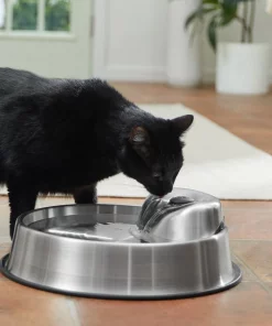 Frisco Stainless Steel Round Dog & Cat Fountain, 1 Gallon