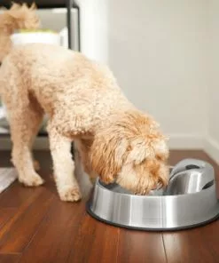 Frisco Stainless Steel Round Dog & Cat Fountain, 1 Gallon 15 Frisco Stainless Steel Round Dog & Cat Fountain, 1 Gallon -The Frisco Store 316358 PT6. SY630 V1637610402