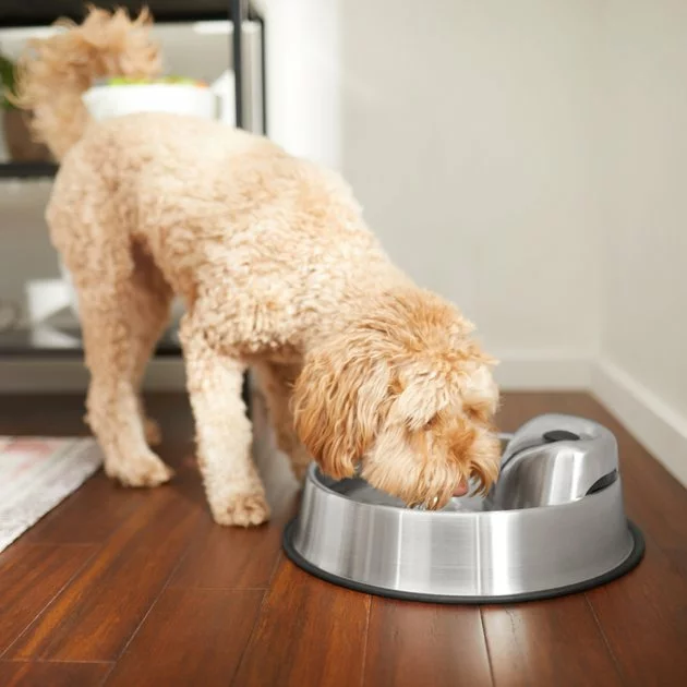 Frisco Stainless Steel Round Dog & Cat Fountain, 1 Gallon 9 Frisco Stainless Steel Round Dog & Cat Fountain, 1 Gallon - Image 7