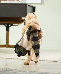 Frisco Fur Really Real Raccoon Plush Squeaky Dog Toy -The Frisco Store 316925 PT2. SY630 V1641400901