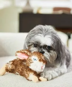 Frisco Realistic Plush Rabbit Plush Dog Toy -The Frisco Store 316933 PT2. SY630 V1641400634