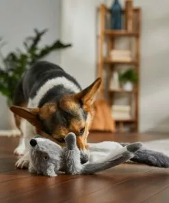 Frisco Fur Really Real Squirrel Plush Laying Squeaky Dog Toy 7 Frisco Fur Really Real Squirrel Plush Laying Squeaky Dog Toy -The Frisco Store 316935 PT2. SY630 V1641400940