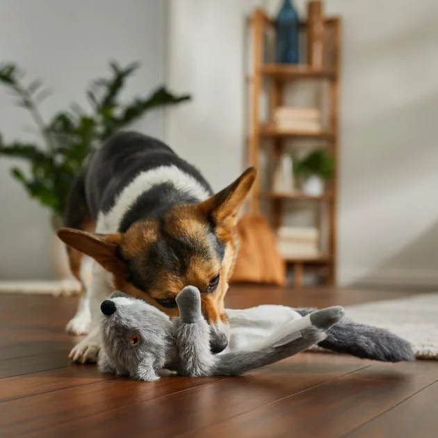 Frisco Fur Really Real Squirrel Plush Laying Squeaky Dog Toy 5 Frisco Fur Really Real Squirrel Plush Laying Squeaky Dog Toy - Image 3