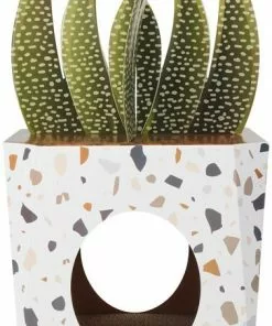 Frisco Potted Succulent Cardboard Cat House -The Frisco Store 317723 PT2. SY630 V1642088638
