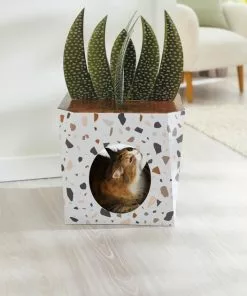 Frisco Potted Succulent Cardboard Cat House -The Frisco Store 317723 PT3. SY630 V1642099430
