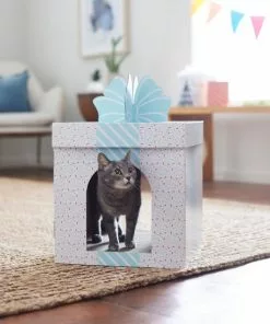 Frisco Birthday Gift Box Cardboard Cat House -The Frisco Store 317727 PT3. SY630 V1642099343