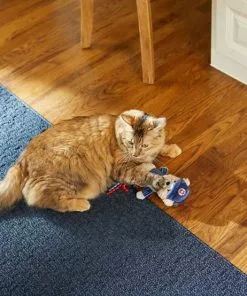 Frisco||Pets First Frisco Baseball Bear Plush and Crinkle Kicker Toy + Pets First Chicago Cubs Baseball Cat Scratcher Toy with Catnip -The Frisco Store 318986 PT3. SY630 V1630363596