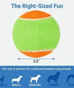 Frisco||Playology Frisco Fetch Squeaking Colorful Tennis Ball, 3-Pack + Playology All Natural Dual Layer Bone Dog Toy, Large, Peanut Butter Scented -The Frisco Store 319022 PT2. SY630 V1630557070