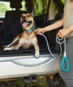 Frisco Outdoor Comfort Print Nylon Padded Collar, Large, Neck: 18 -26-in, Width: 1-in + Outdoor Ultra Reflective Rope Leash With Padded Handle, Bayou Teal, 6 - ft -The Frisco Store 319068 PT8. SY630 V1631154979