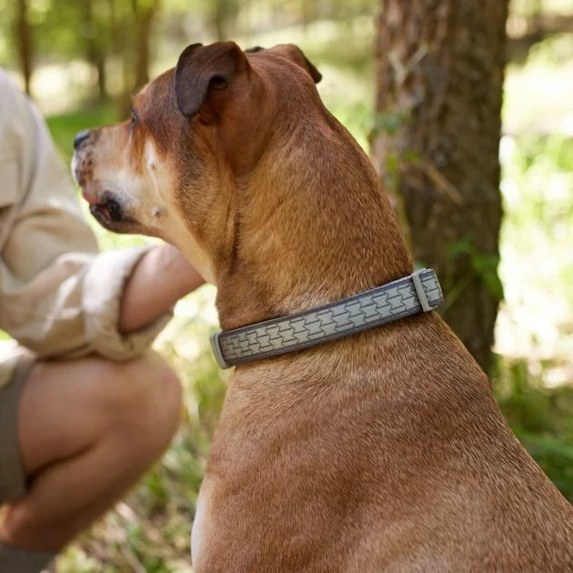 Frisco Outdoor Comfort Print Nylon Padded Collar, Large, Neck: 18 -26-in, Width: 1-in + Outdoor Ultra Reflective Rope Leash With Padded Handle, Stone Gray, 6 - ft 7 Frisco Outdoor Comfort Print Nylon Padded Collar, Large, Neck: 18 -26-in, Width: 1-in + Outdoor Ultra Reflective Rope Leash With Padded Handle, Stone Gray, 6 - ft - Image 5