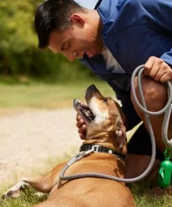 Frisco Outdoor Comfort Print Nylon Padded Collar, Large, Neck: 18 -26-in, Width: 1-in + Outdoor Ultra Reflective Rope Leash With Padded Handle, Stone Gray, 6 - ft 19 Frisco Outdoor Comfort Print Nylon Padded Collar, Large, Neck: 18 -26-in, Width: 1-in + Outdoor Ultra Reflective Rope Leash With Padded Handle, Stone Gray, 6 - ft -The Frisco Store 319072 PT8. SY630 V1631155586