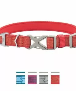 Frisco Outdoor Comfort Print Nylon Padded Collar, Large, Neck: 18 -26-in, Width: 1-in + Outdoor Ultra Reflective Rope Leash With Padded Handle, Sunset Orange, 6 - ft -The Frisco Store 319074 PT1. SY630 V1631144774