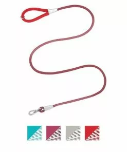 Frisco Outdoor Comfort Print Nylon Padded Collar, Large, Neck: 18 -26-in, Width: 1-in + Outdoor Ultra Reflective Rope Leash With Padded Handle, Sunset Orange, 6 - ft -The Frisco Store 319074 PT5. SY630 V1631149611