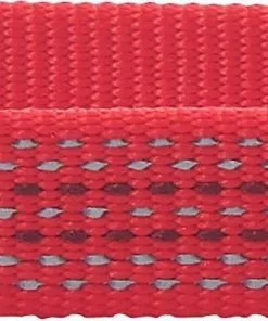 Frisco Outdoor Frisco Nylon Collar, Flamepoint Orange, Small-Neck: 10-14-in, Width: 5/8-in + Rope Leash With Padded Handle, Sunset Orange, 6-ft -The Frisco Store 319098 PT2. SY630 V1631157380