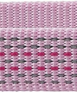 Frisco Outdoor Frisco Nylon Collar, Shadow Purple, Extra Small, Neck: 8-12-in, Width: 5/8th -in + Rope Leash With Padded Handle, Boysenberry Purple, 6-ft -The Frisco Store 319108 PT2. SY630 V1631151691