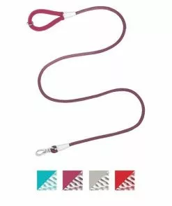 Frisco Outdoor Frisco Nylon Collar, Shadow Purple, Medium-Neck: 14-20-in, Width: 3/4-in + Rope Leash With Padded Handle, Boysenberry Purple, 6-ft -The Frisco Store 319112 PT5. SY630 V1631141768