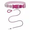 Frisco Outdoor Frisco Nylon Collar, Shadow Purple, Small-Neck: 10-14-in, Width: 5/8-in + Rope Leash With Padded Handle, Boysenberry Purple, 6-ft -The Frisco Store 319114 MAIN. SY630 V1631161313