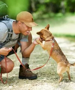 Frisco Outdoor Heathered Nylon Collar, Flamepoint Orange, Medium - Neck: 14-20-in, Width: 3/4-in + Dog Leash, Flamepoint Orange, Medium - Length: 6-ft, Width: 3/4-in -The Frisco Store 319120 PT7. SY630 V1631141495